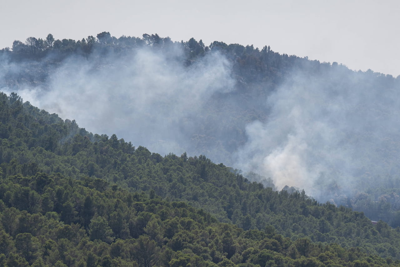 Feux de forêts : tous ces départements sont placés en vigilance 