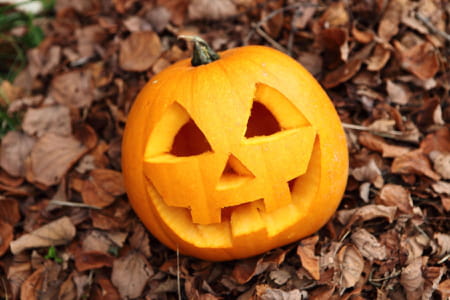Image modèle citrouille Halloween