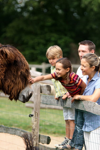 Qui sont les visiteurs du Puy du Fou&nbsp;?