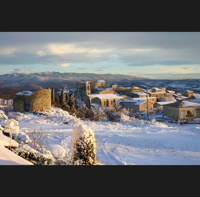 Vach&egrave;res sous la neige