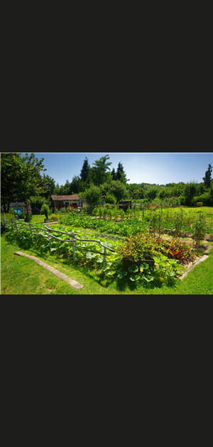 Faire son potager tout au long de l'ann&eacute;e