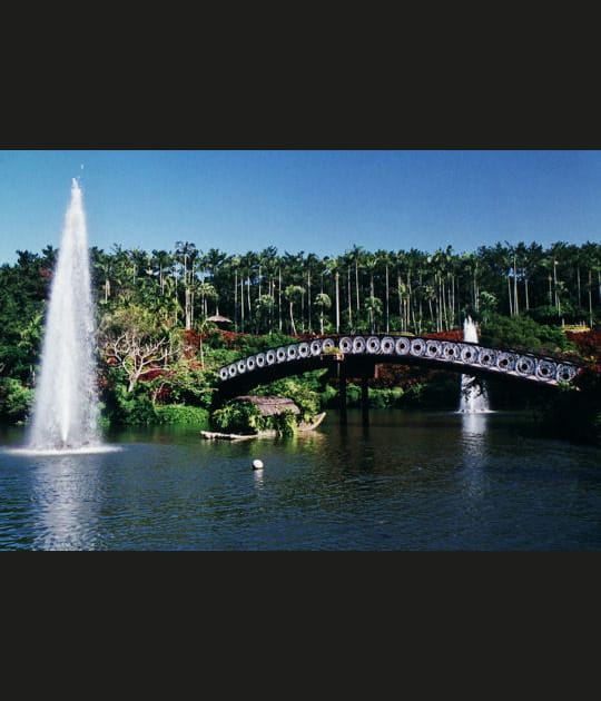 Les jardins botaniques d'Okinawa, Japon