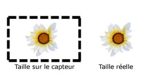 on parle de macrophotographie quand le rapport de grossissement est au moins de