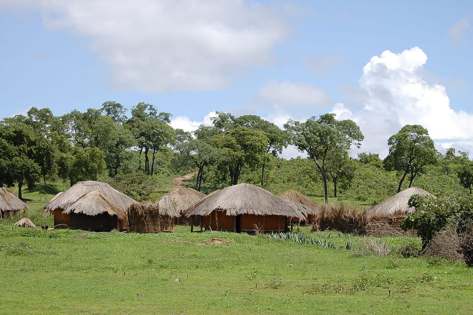 La Zambie