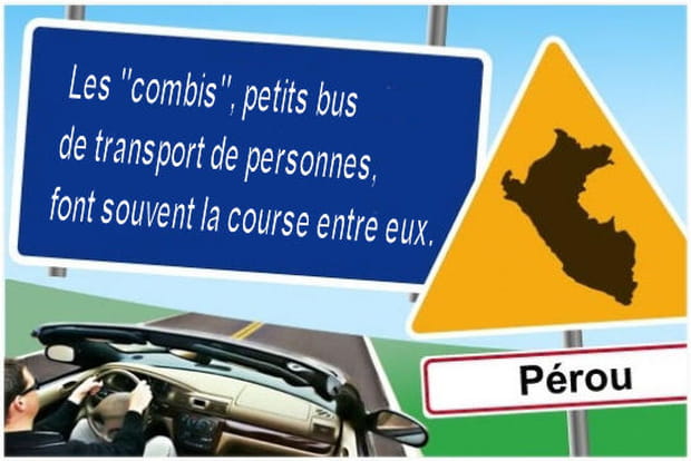 Chauffeur ou "chauffard" de bus