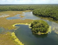 Terres extrêmes : Enfer vert