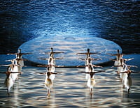 Le Lac des cygnes