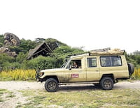 Planète safari : Ruaha, le show des prédateurs