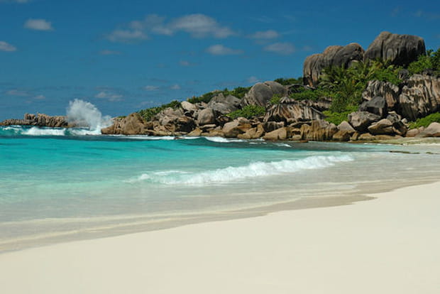 Grande Anse : on regarde mais on ne touche pas !