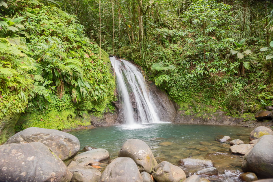 Cascade aux &eacute;crevisses &agrave; Pointe Noire