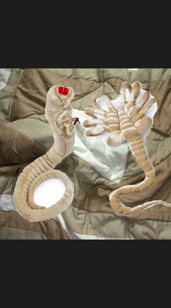 4h00&nbsp;: Bonne nuit avec les doudous Aliens&nbsp;!