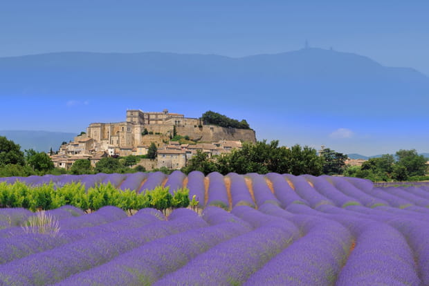Grignan, terre de lavande en été