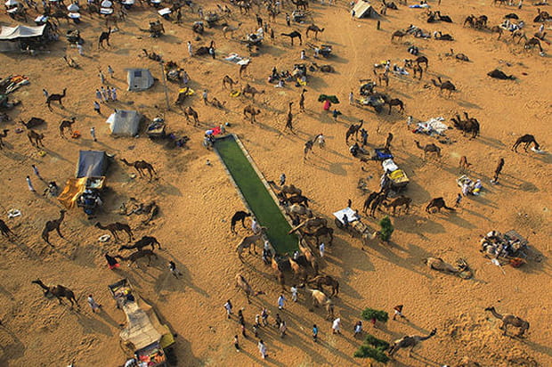 Vue du marché de Pushkar
