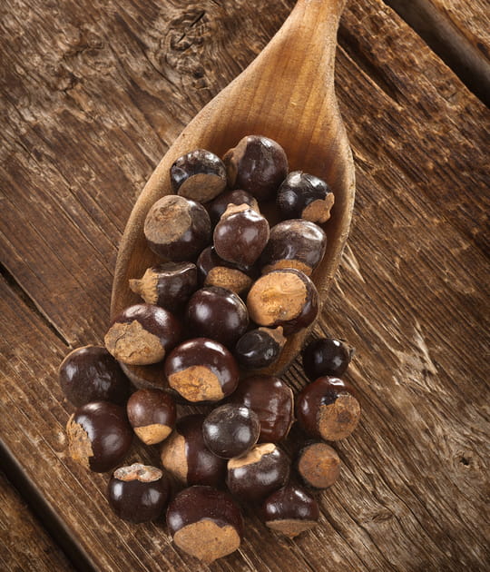 Le guarana ou le rempla&ccedil;ant du caf&eacute;