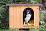 Niche pour chien