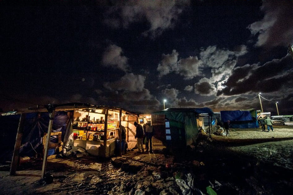 Dans la &quot;Jungle&quot;