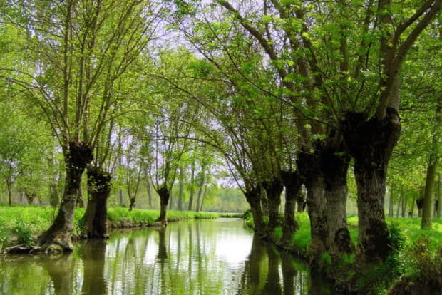 Le Marais Poitevin