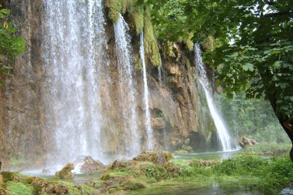 Cama&iuml;eux de verts dans le parc de&nbsp;Plitvice