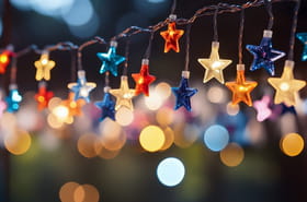 Avant d'acheter une guirlande, v&eacute;rifiez ceci&nbsp;: c'est votre s&eacute;curit&eacute; qui est en jeu