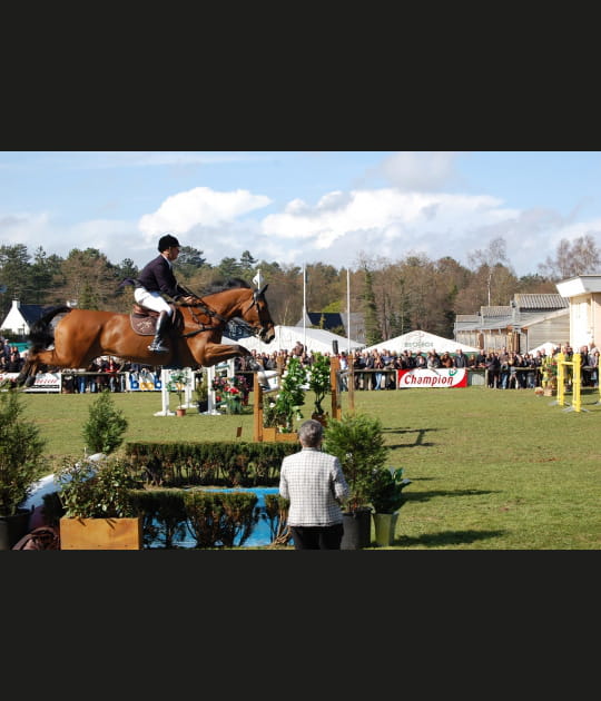Saut d'obstacle
