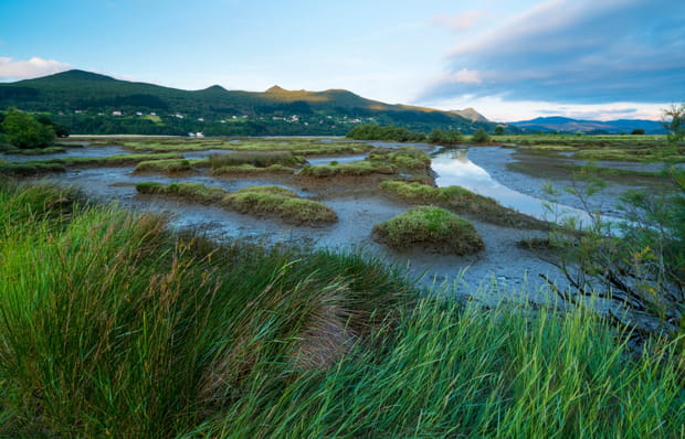 Réserve d'Urdaibai, le paradis des amoureux de la nature