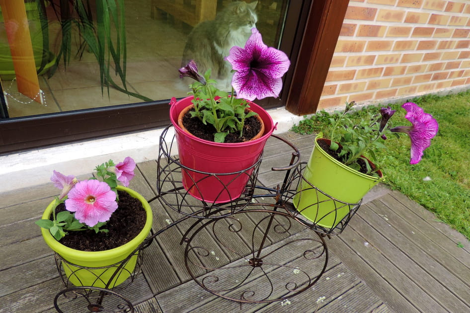 Une jardini&egrave;re pour le Tour de France