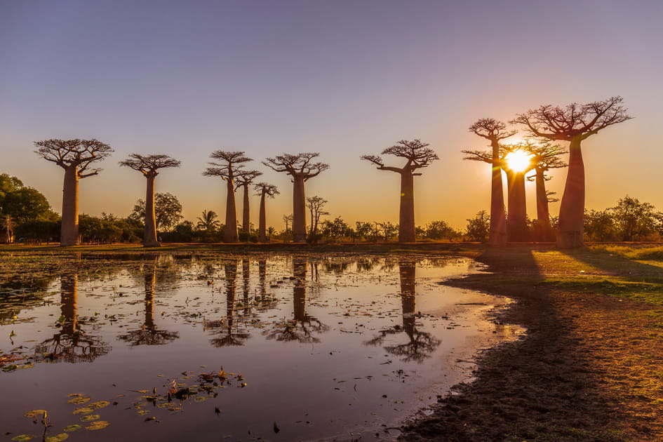 Quelles seront les meilleures destinations en 2024&nbsp;? Madagascar