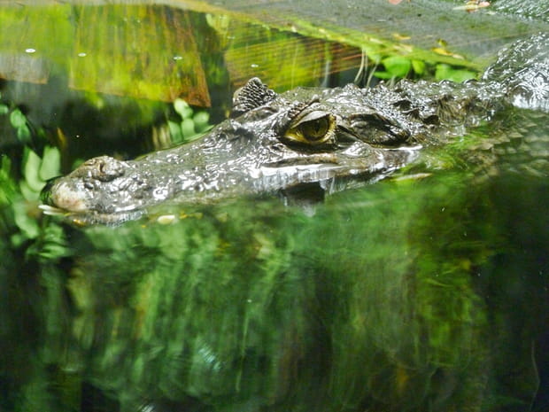 13e : Le Parc Nausicaa, Boulogne-sur-Mer