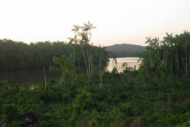 Parc national de la Guyane