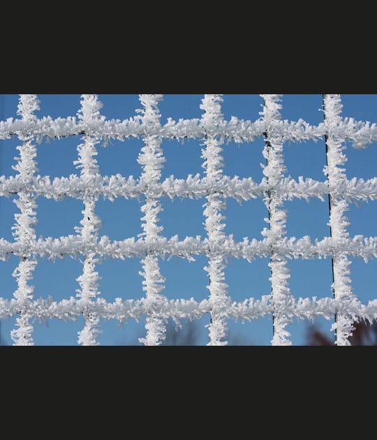 Oeuvre d'art naturelle