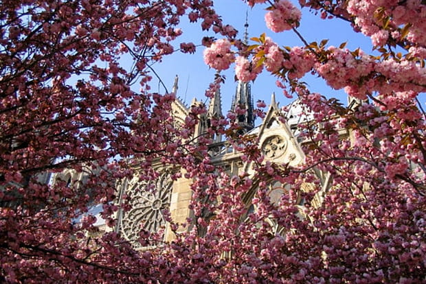Notre-Dame fleurie