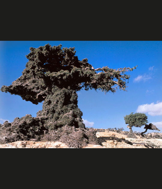 L'Anti-Atlas, Maroc