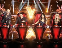 The Voice, la plus belle voix : Episode 2