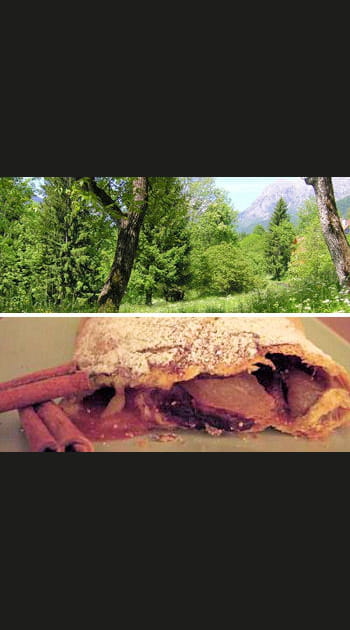 La r&eacute;gion d'Udine, pays de strudel