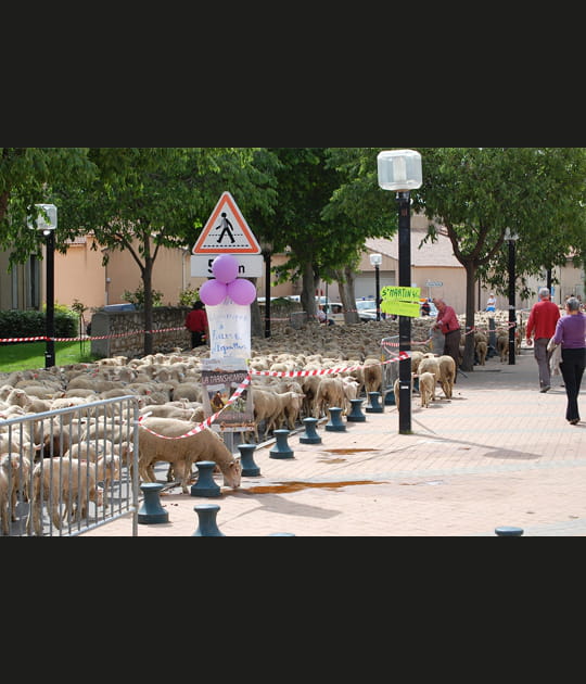 F&ecirc;te de la transhumance