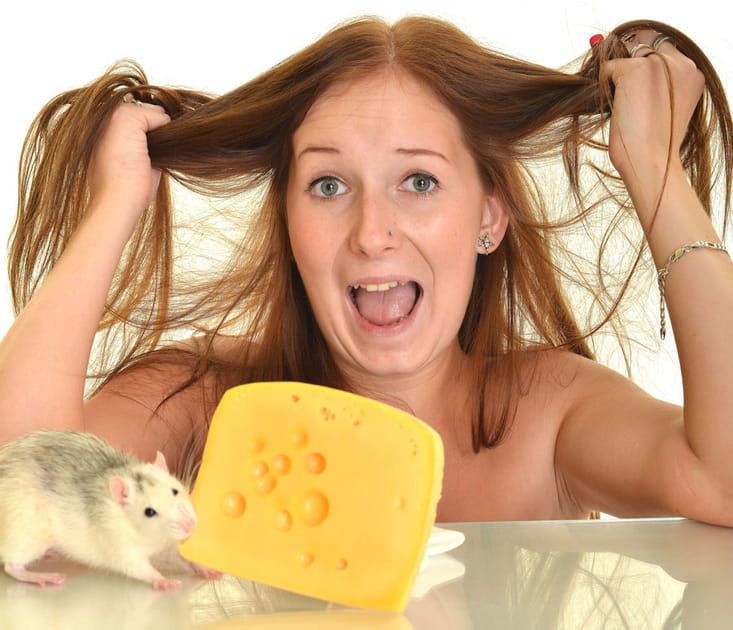 Oh l'effroyable petite souris&nbsp;!