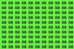 Un seul 38 se cache sur cette image, battez le record et trouvez-le en moins de 10 secondes
