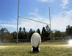 Rugby : Test-match