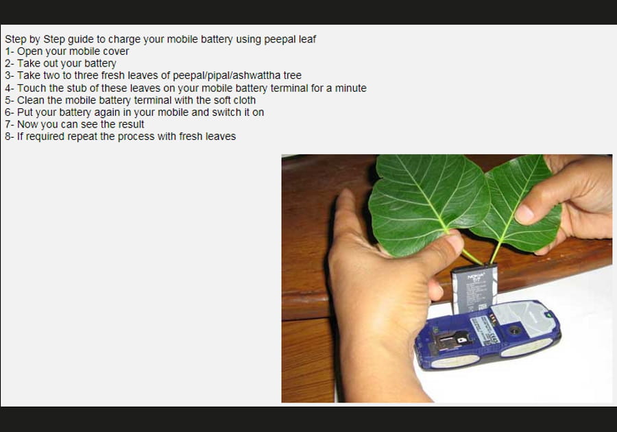 Un chargeur de portable &agrave; feuilles de ficus