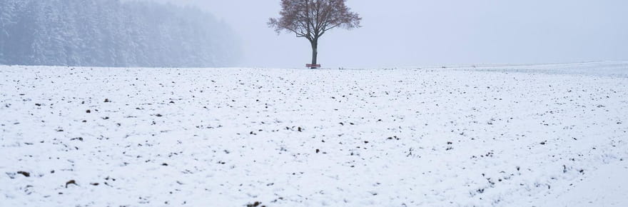 Neige et verglas en France&nbsp;: Paris, Grand Est, Alpes... Les pr&eacute;visions de ce vendredi