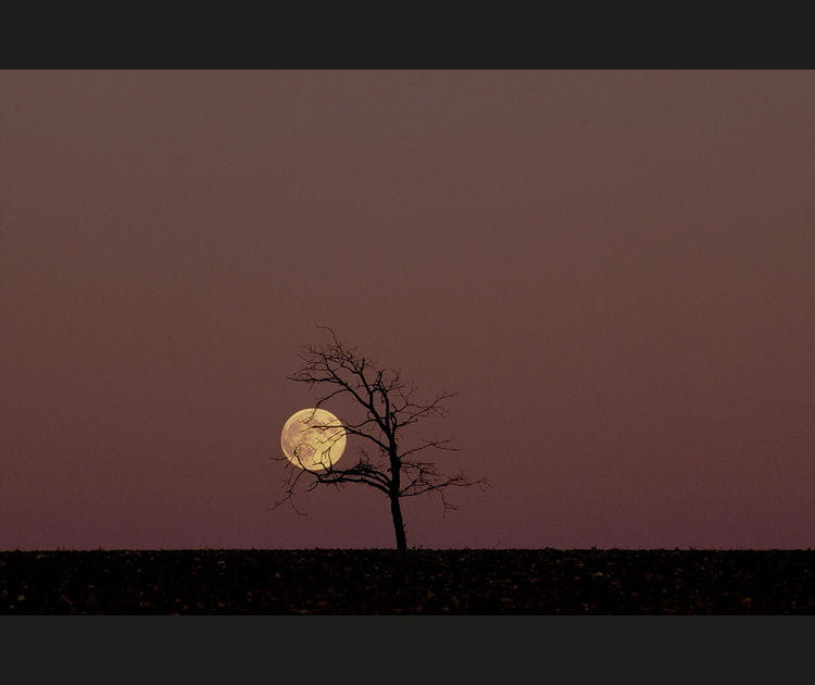 Lever de lune