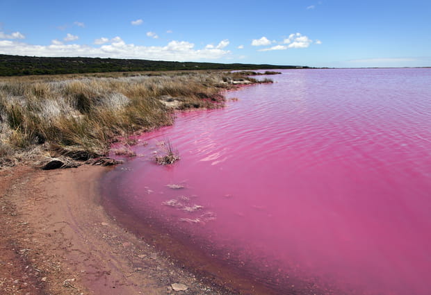 Le lac Hillier en Australie Occidentale