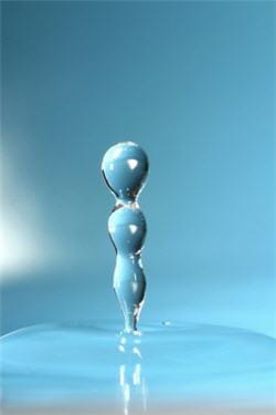 la macro, ou l'art de transcender les choses les plus anodines.