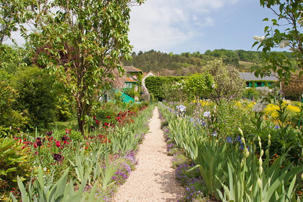 Allée d'iris et de tulipes