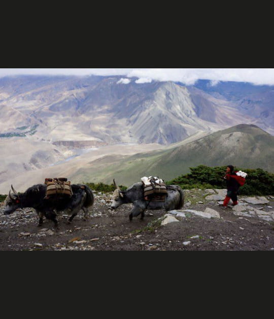 La caravane passe
