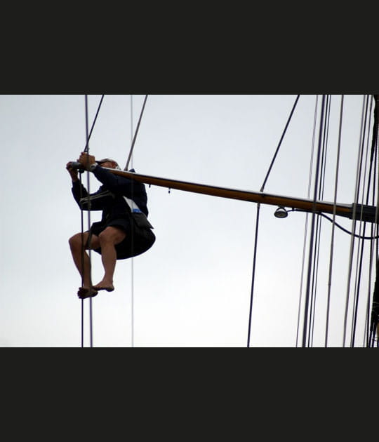 On joue &agrave; chat perch&eacute;&nbsp;?