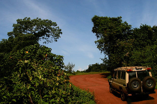 Dans les grands parcs de Tanzanie