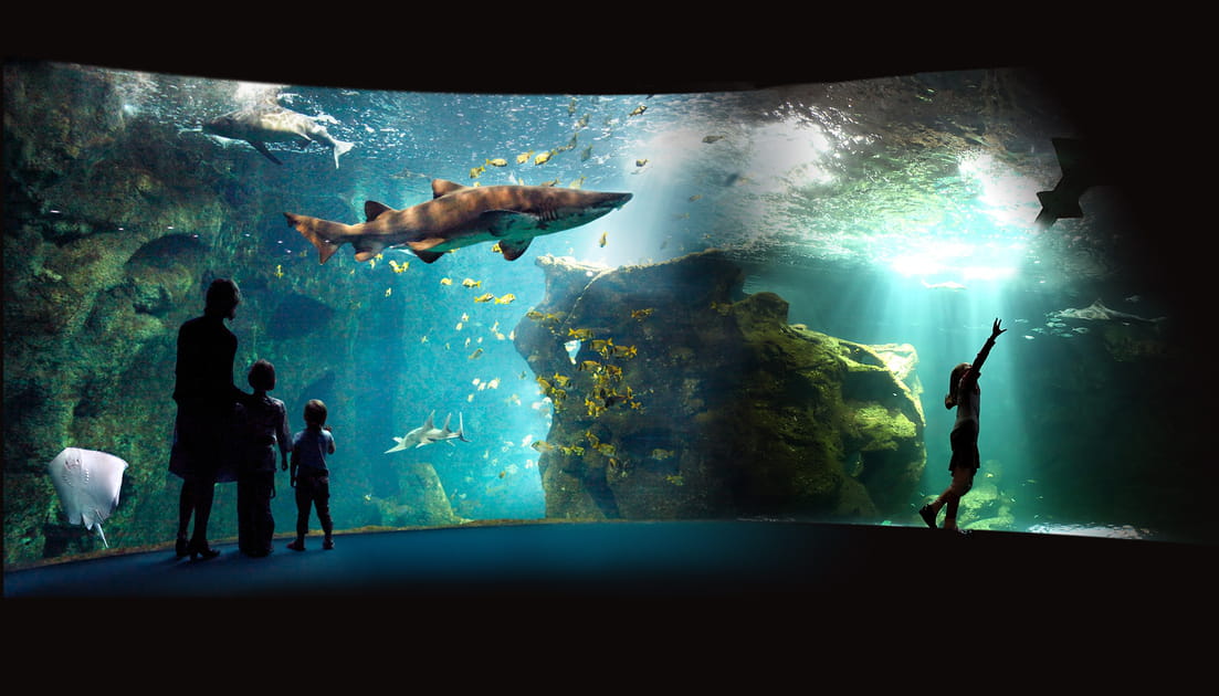 L'Aquarium de La Rochelle