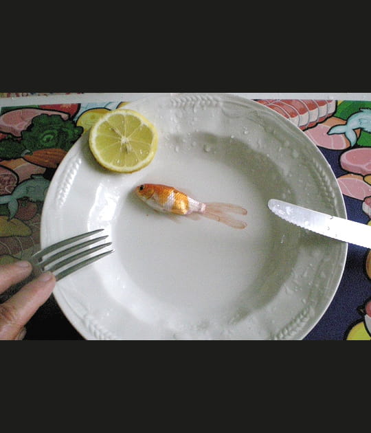 Un poisson d'avril