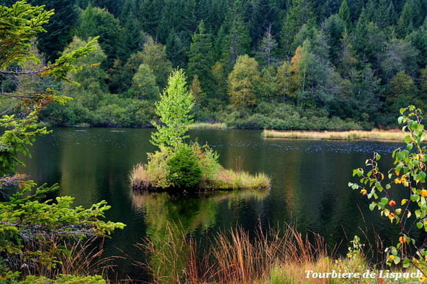 Le Lac de Lispach, joyau des Vosges
